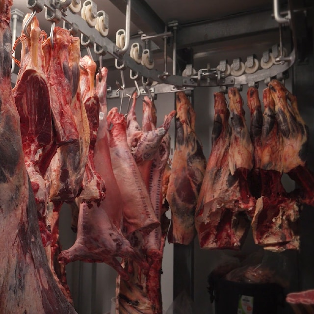 Origem da carne
