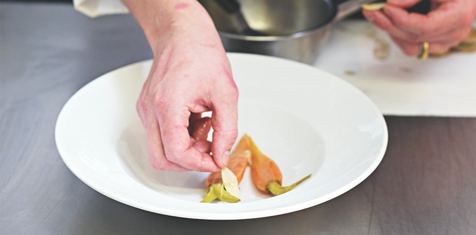 Especializar ou diversificar: qual o melhor negócio?