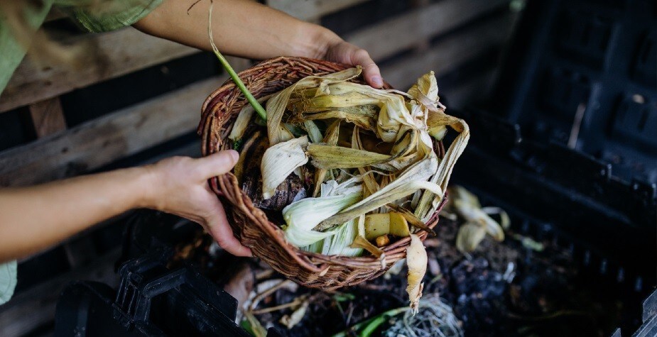 Redução de resíduos: como aumentar a sustentabilidade e o lucro em seu food service