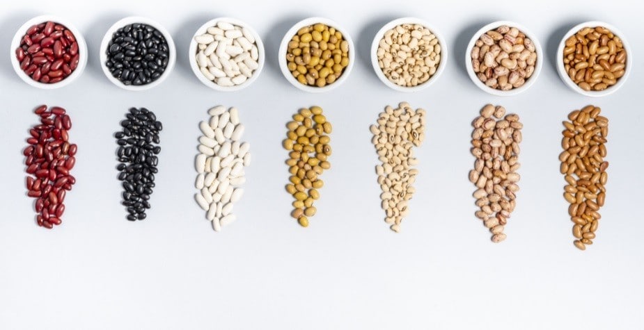 Tipos de feijão: Enriquecer seu menu com este clássico do cardápio brasileiro