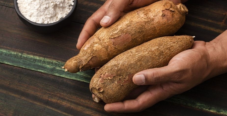 Versatilidade da mandioca: 6 possibilidades do ingrediente curinga