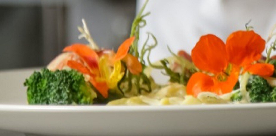 Apostar em um cardápio criativo e sustentável pode ser um grande diferencial para o seu restaurante