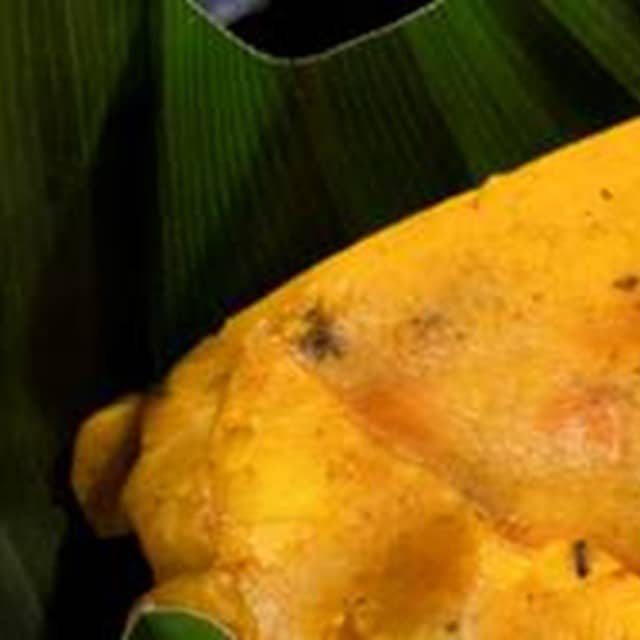 Conheça 11 pratos da comida colombiana para entrar no seu cardápio