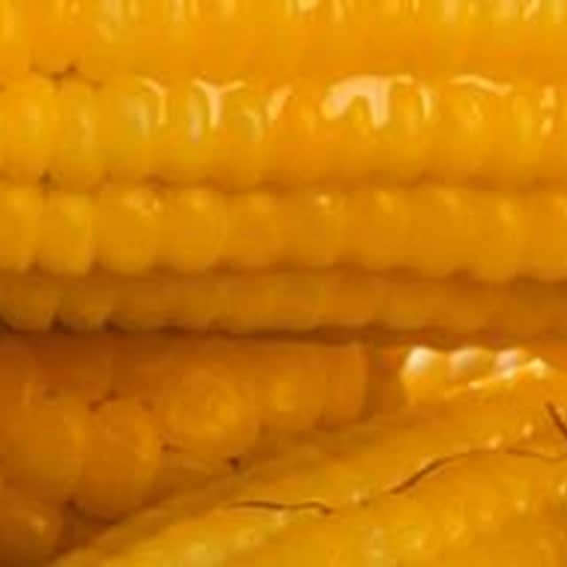 Milho: 7 opções de pratos salgados para inovar no seu cardápio