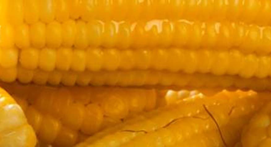 Milho: 7 opções de pratos salgados para inovar no seu cardápio