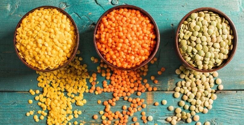 Receitas com lentilha, ingrediente versátil e rico em proteína.