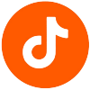 Tiktok logo